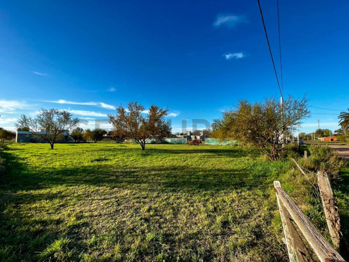 Venta Terreno 550m² En Luis Palacios