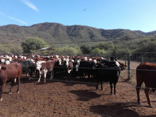 Venta Campo 3200 Hectareas Santiago Del Estero