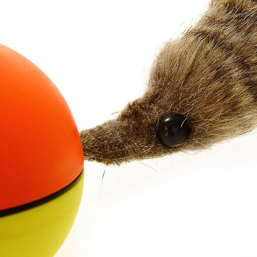 Divertido Castor Doninha Rolando Motor Bola Cachorro Gato De