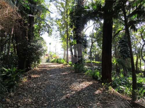 Imagem 6 de 21 de Terreno Dentro Da Chácara Flora - Reo507663
