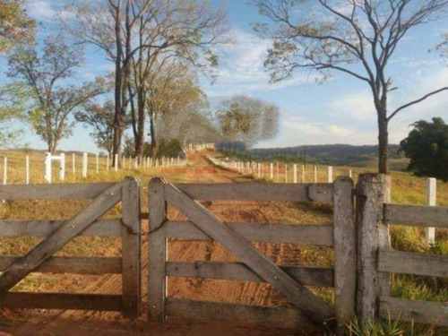 Fazenda À Venda Em Echaporã/sp - Fa00122 - 69026868