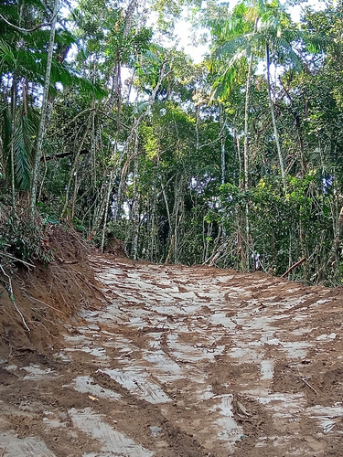 Terreno Com Plato Pronto Pra Construir Próximo Da Represa