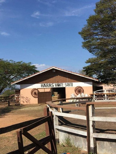 Ótimo Haras Com 41 Hectares Com 23 Baias 3.000,000,00 - 39282