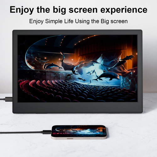 Monitor Portátil Hd De 11.6 Pulgadas External Screen
