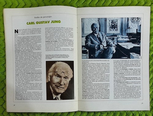 Gran Enciclopedia De La Psicología. Col Completa 105 Fascíc (Usado)