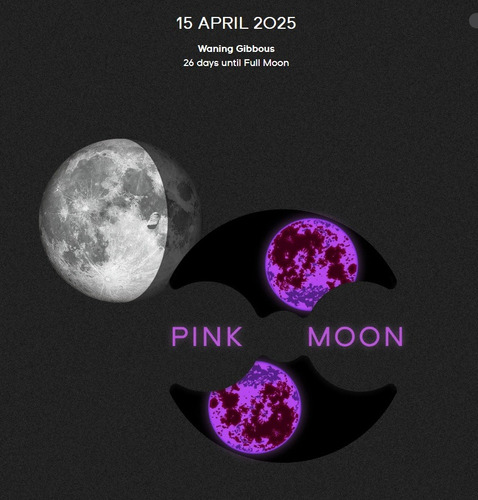 Relógio Swatch X Omega Moonswatch Speedmaster Pink Moonphase Rosa Rosa Branco