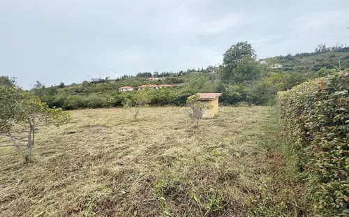 Lote En Venta En Vereda El Roble. Cod V10010039