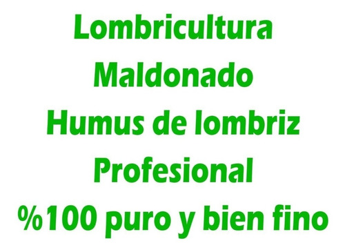 Imagen 3 de 10 de Lombrices Californianas 250 ¡grandes!