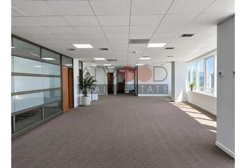 Oficina 312 M2 6 Privados Piso Alto