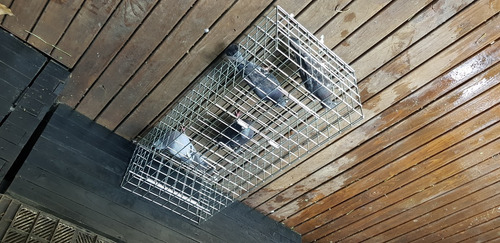 Imagen 3 de 6 de Jaula Y Trampa Captura Palomas