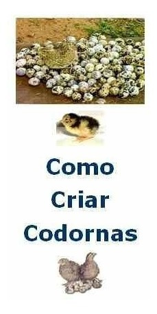 Guia Prático Para Criar Codornas