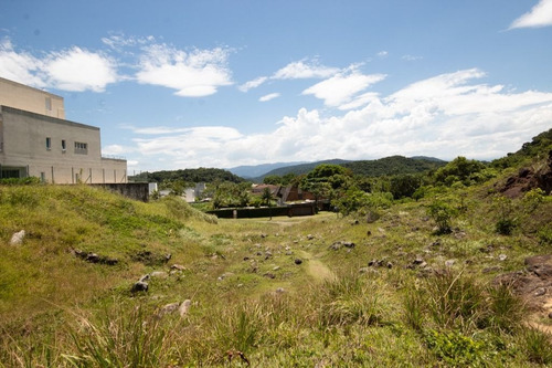 Imagem 8 de 13 de Terreno Residencial À Venda, Balneário Praia Do Pernambuco, Guarujá - Te0262. - Te0262