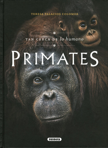 Libro Primates. Tan Cerca De Lo Humano - Pauel, Clara