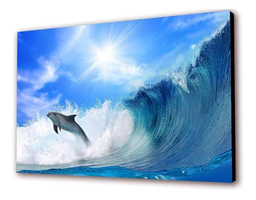 Cuadro 50x30cms Decorativo Delfin 1!!!+envío Gratis