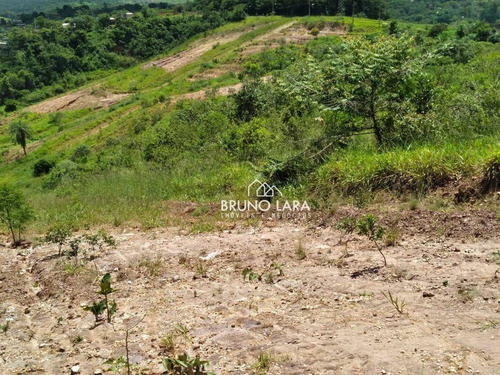 Imagem 22 de 30 de Terreno A Venda Em Igarapé Bairro Santa Ana - Te0230