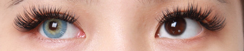 Imagen 8 de 10 de Freshlady - Spring Lentes De Contacto - Edicion Limitada