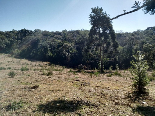 Imagem 17 de 30 de Chácara À Venda, 166375 M² Por R$ 4.000.000,00 - Costeira - São José Dos Pinhais/pr - Ch0081