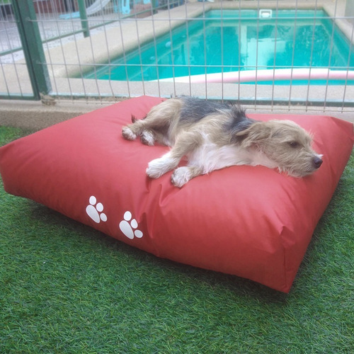 Imagen 5 de 5 de Pouf Cama Mascota Ergonómico, Impermeable, Aislante Térmico