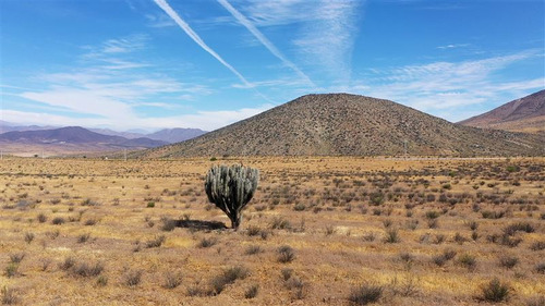 Venta Terreno De 11 Ha En Higueritas Unidas, Ovalle