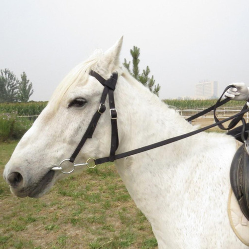 Rienda De Caballo Con Cabestro De Control De Negro M