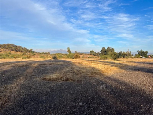 Imagen 6 de 8 de Agrícola En Venta En Curicó