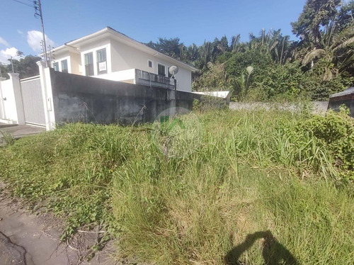 Imagem 2 de 15 de Terreno A Venda No Bairro Ponta Negra, Manaus Am - Te00061 - 69918347