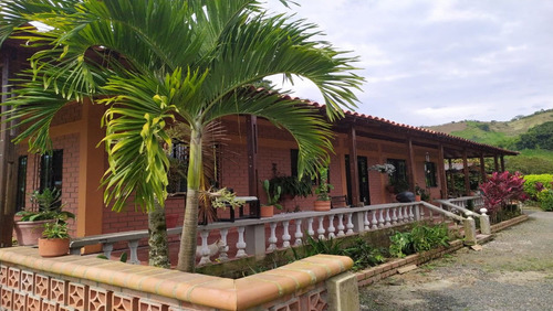 Imagen 6 de 24 de Finca De Alquiler Por Días Altagracia #4 Pereira