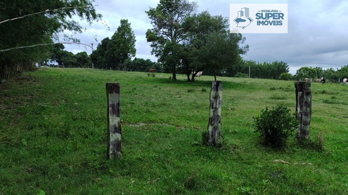 Imagem 8 de 8 de Chácara A Venda No Bairro Monte Bonito Em Pelotas - Rs. - 1674-1