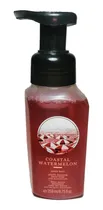 Comprar Jabón Espumoso Bath And Body Works Varios Aromas Mist Crema