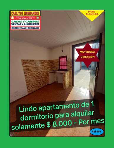 Ref 656) ** A - Lindo Apartamento De 1 Dormitorio Para Alquilar En San José