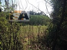 Imagem 3 de 9 de Área/terreno Em Ipelândia - Suzano - 2942