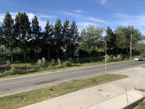 Imagen 12 de 13 de Venta Local - Villanueva Ven Street Tigre