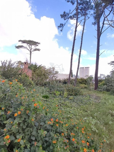 Imagen 6 de 7 de Terreno En Zona Mansa Muy Buen Matraje - Punta Del Este Mansa