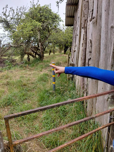 Venta Agrícola Puerto Montt