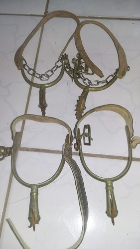 Esporas De Alpaca