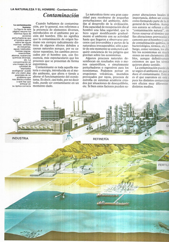 Enciclopedia De Las Ciencias Naturales Ecología 2 (Usado)