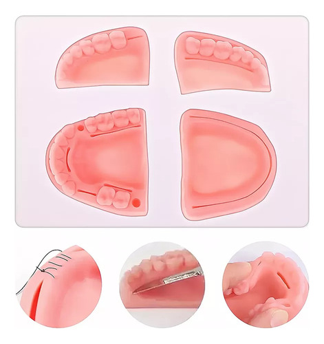 Kit De Práctica De Sutura Dental Kit De Práctica De Sutura 