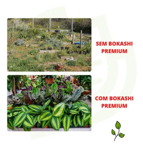 Forte Orquídeas Bokashi Líquido 1 Lt Concentrado Rende 200l