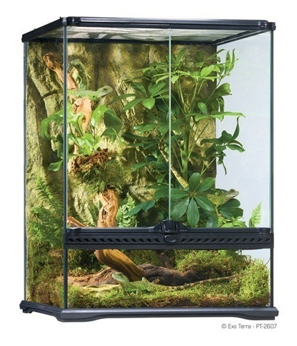 Small Tall Terrarium