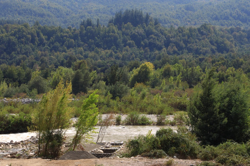 Acceso Río Ancoa, Ideal Proyecto Camping O Cabañas