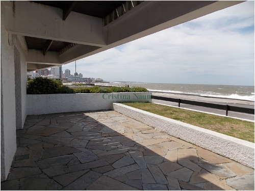 Apartamento En Peninsula, 3 Dormitorios *- Ref: 15902