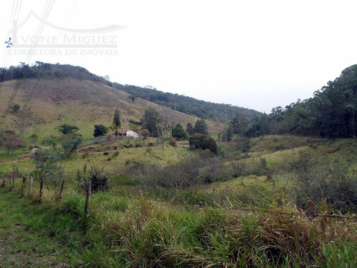 Imagem 10 de 15 de Fazenda Em Centro - Miguel Pereira - 1112