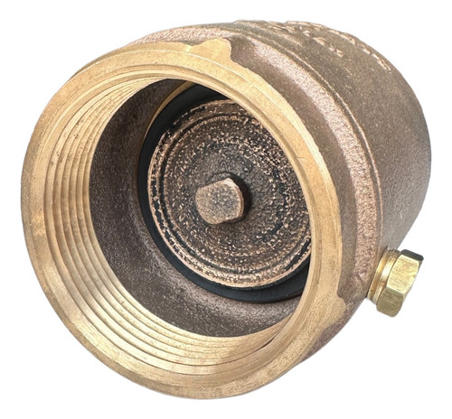 Valvula Check Hidro 2-1/2' Sello Nitrilo Helbert Rosc 250psi