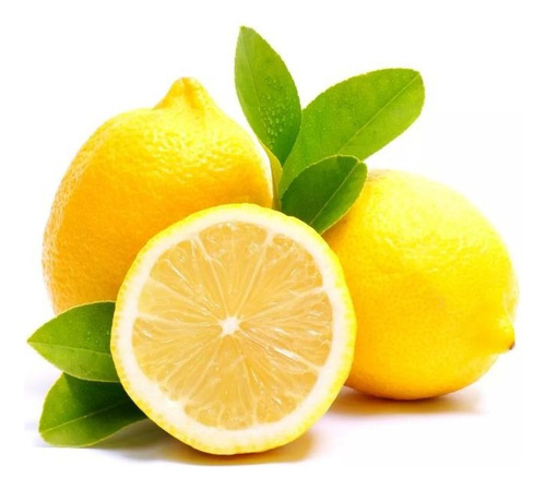 Limón Génova O Limón 4 Estaciones