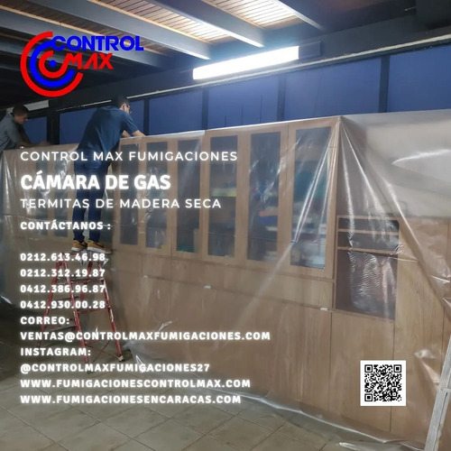 Imagen 10 de 10 de Servicio De Fumigacion Chiripas Pulgas Termitas Acaros