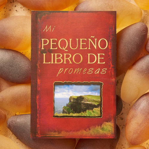 Mi Pequeño Libro De Promesas