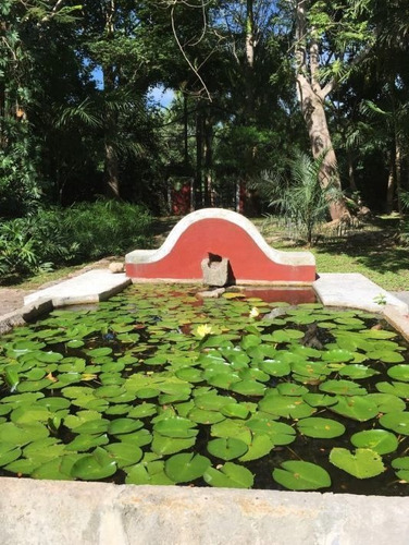 Imagen 26 de 30 de Hacienda Hotel Boutique Merida, Yucatan.