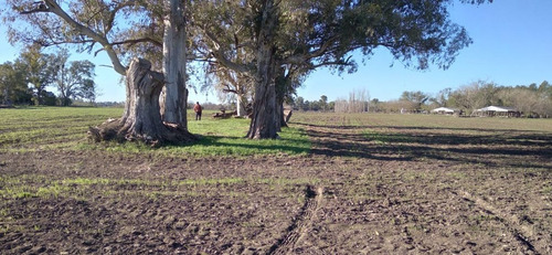 Campo - Fraccion De 7.24 Has.