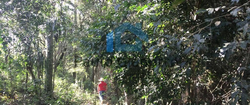 Imagem 10 de 13 de Área 1.300 M2 - Ibiúna - Oportunidade De Ocasião!!! - 192