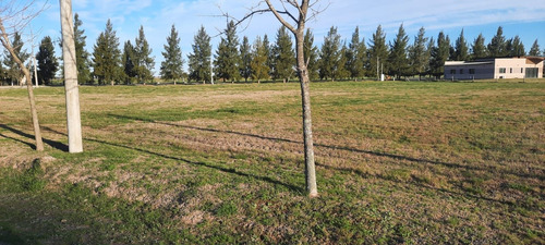 Imagen 2 de 10 de Lote En Venta De 2.4e+39m2 Ubicado En Campos De Roca